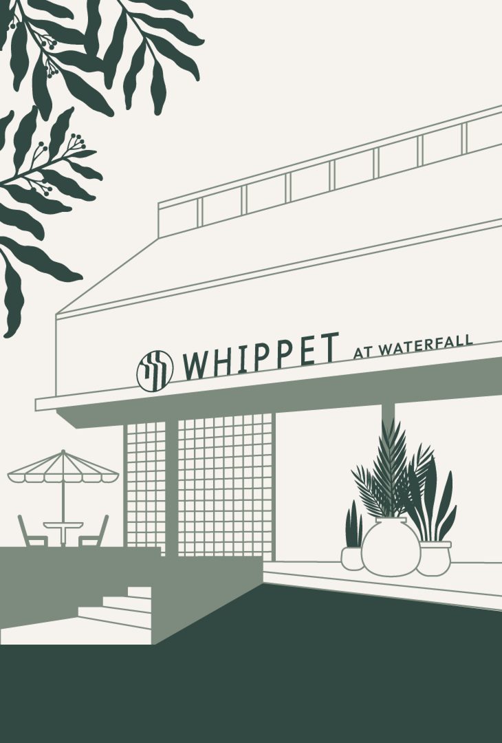 Illustration of the Whippet at Waterfall storefront